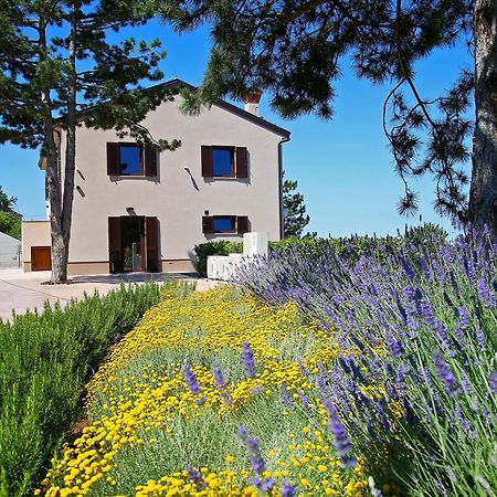 Luxury Villa Gradin Gračišče Bagian luar foto