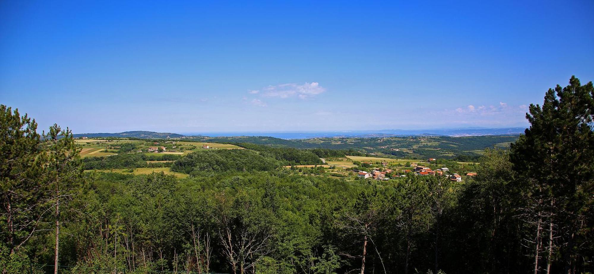 Luxury Villa Gradin Gračišče Bagian luar foto