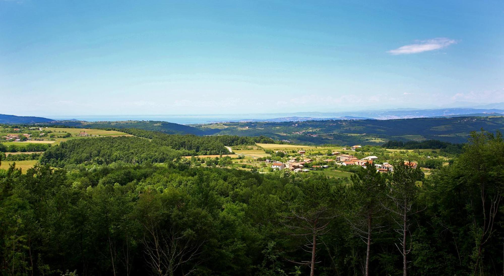 Luxury Villa Gradin Gračišče Bagian luar foto