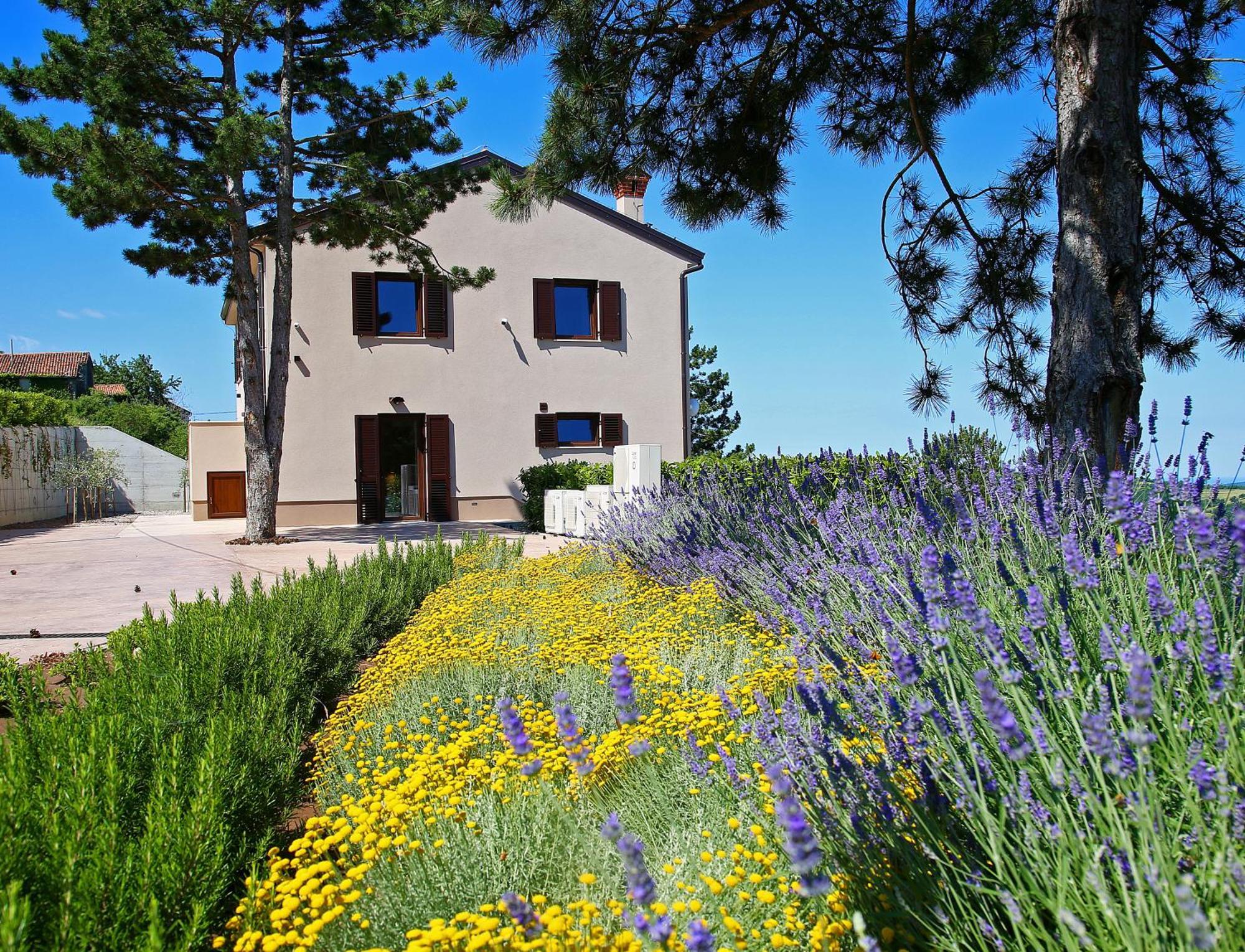 Luxury Villa Gradin Gračišče Bagian luar foto